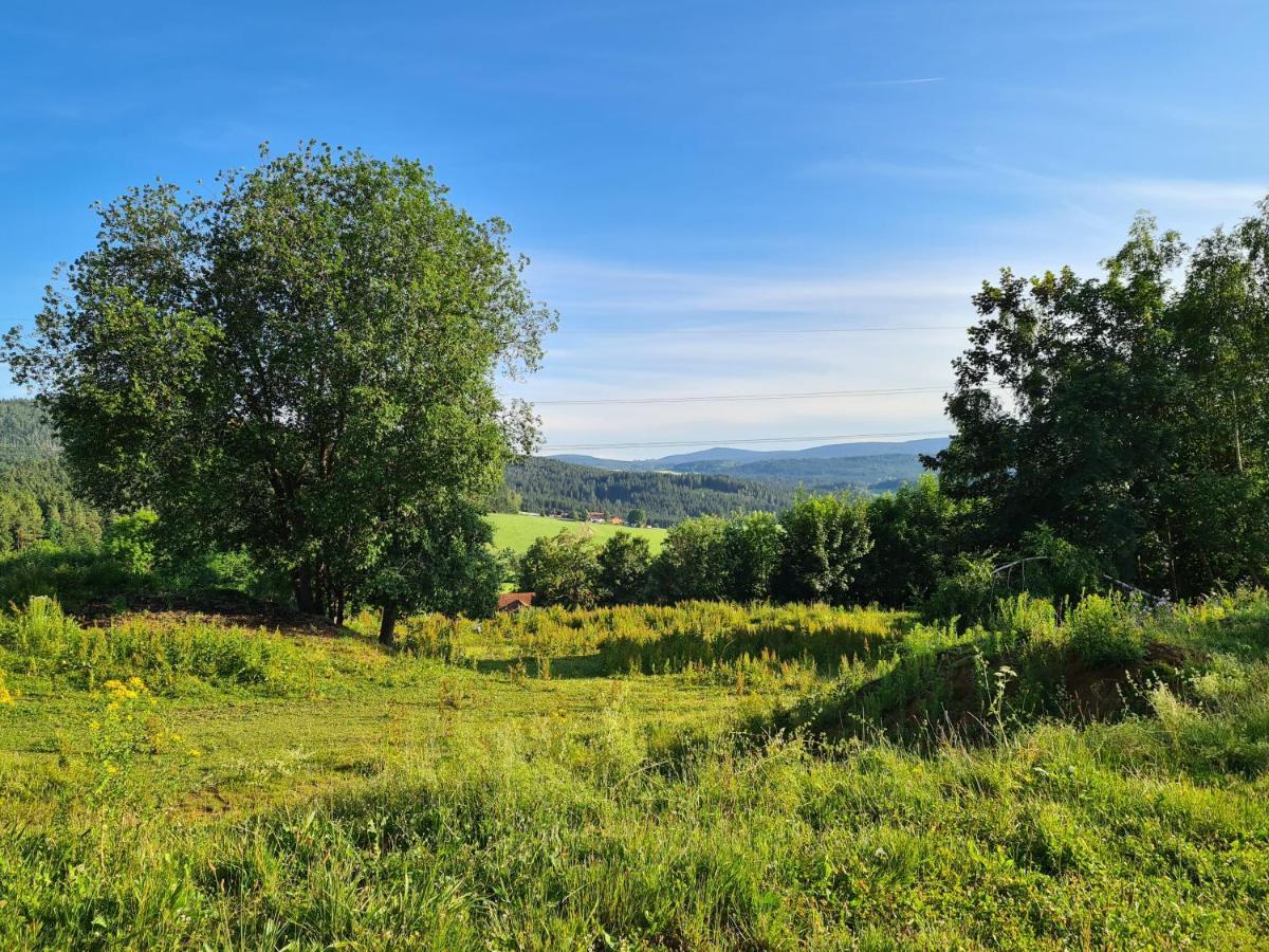 Ferienhaus Bayerischer Wald Реґен Екстер'єр фото
